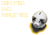 Expertise and Industries